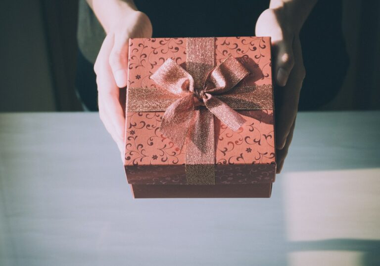 De 5 beste cadeaus voor 11-jarige meisjes - Beste voor Kids